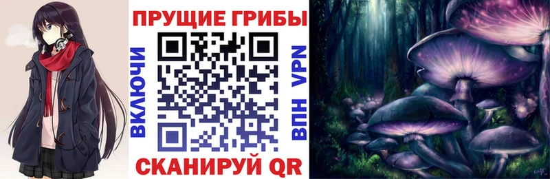 Галлюциногенные грибы ЛСД  Купить  Тара 